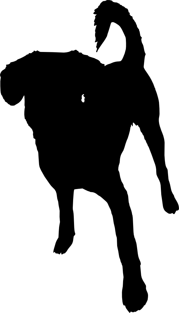 Free Download - Png Dog Silhouette (573x1000)