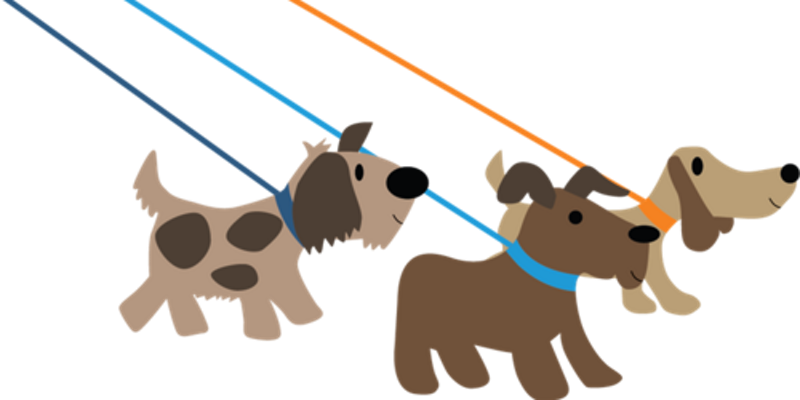 4 - Dog Walking Clipart Transparent (800x400)