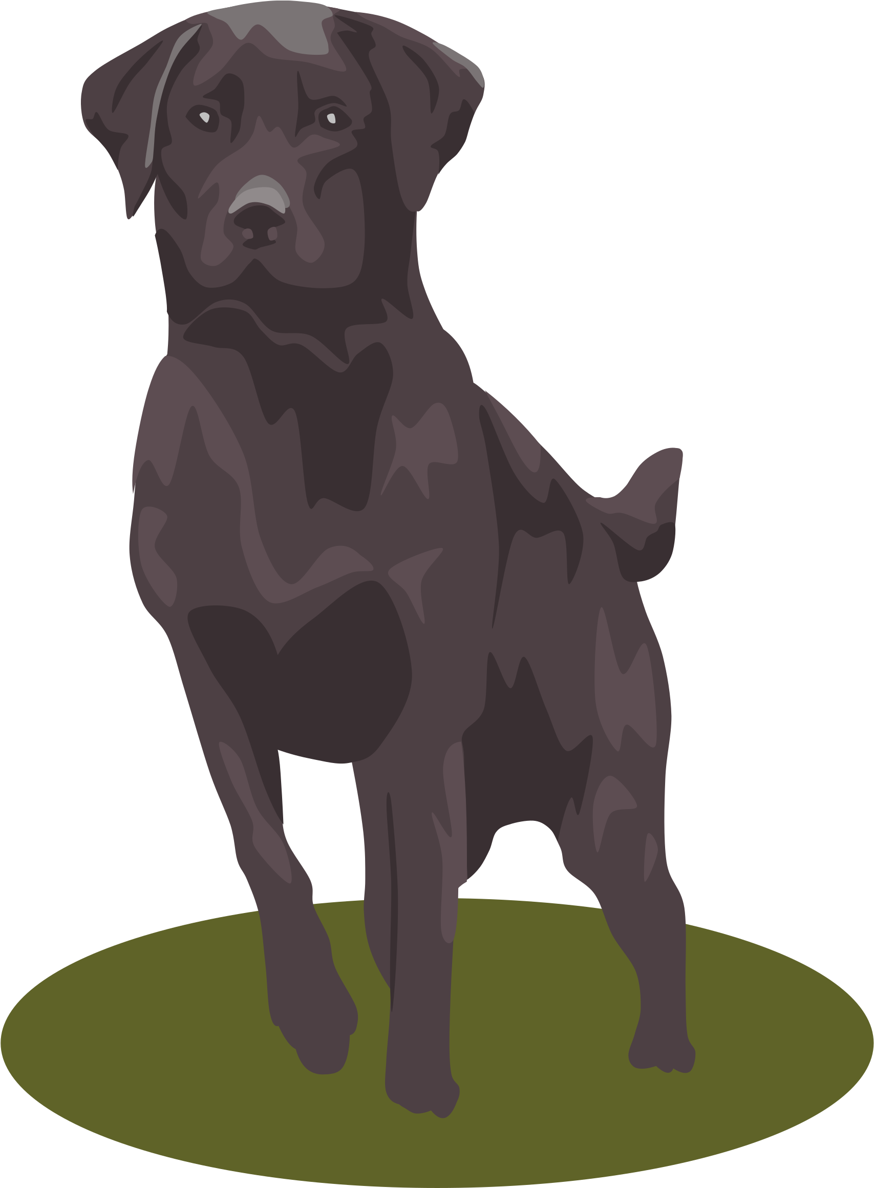 Big Image - Black Lab Clipart Png (1809x2400)