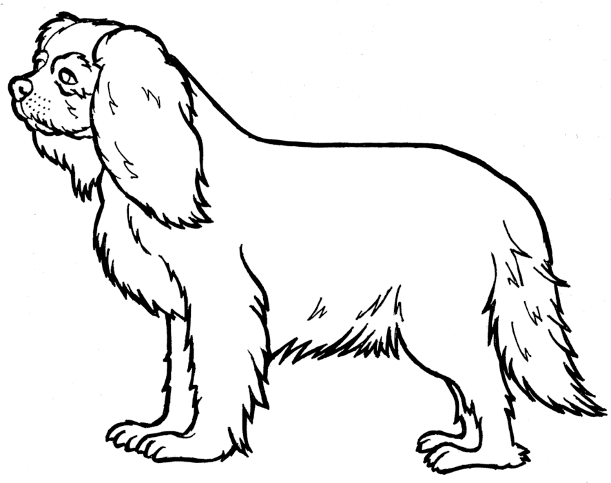 Pregnant Dog Line Art Free By Hannahloulou On Clipart - Dog (900x704)