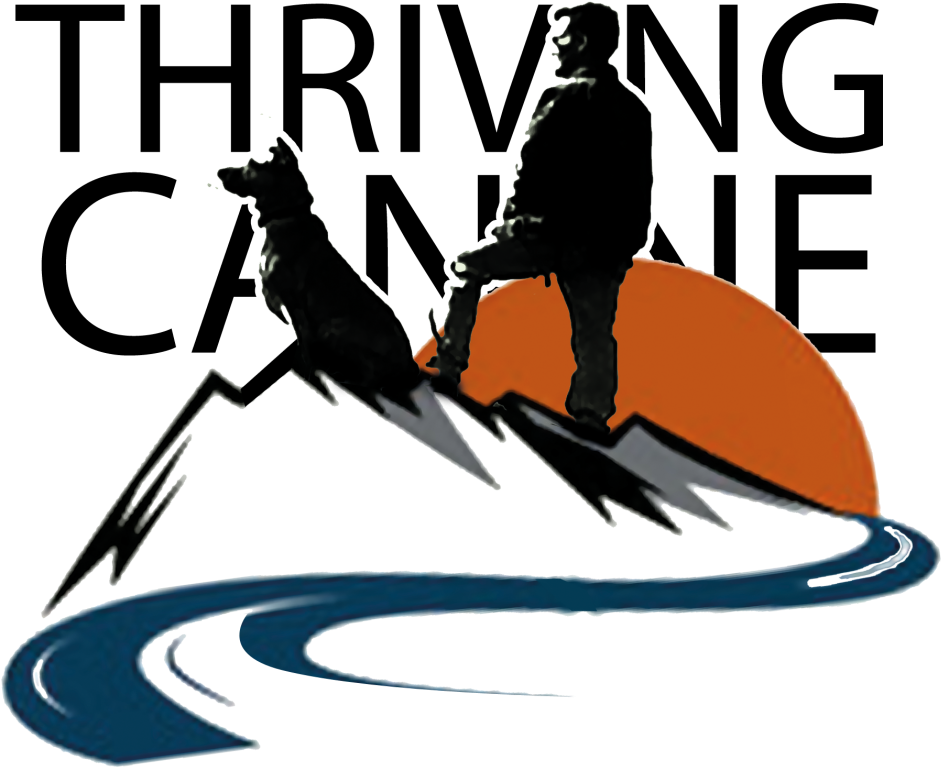 Stomach Growling Dog Clip Art Cliparts - Windsurfing (1200x880)