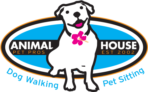 Dog Walking & Pet Sitting - Dog Walking (500x304)