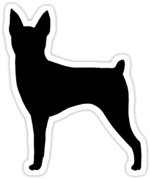 Pet Silhouettes, Vectors, Clipart, Svg - Toy Fox Terrier (375x360)