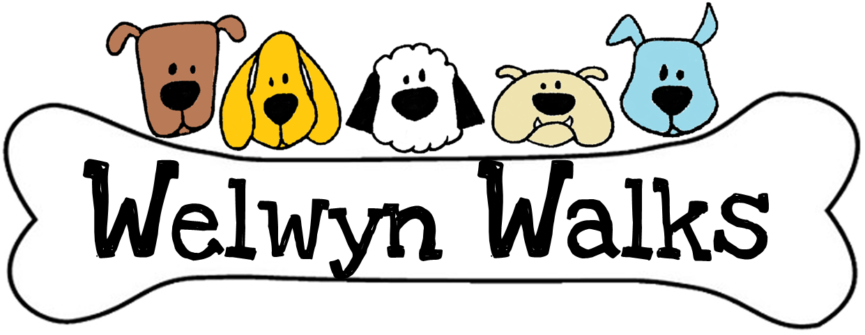 Logo - Welwyn Walks (1240x497)