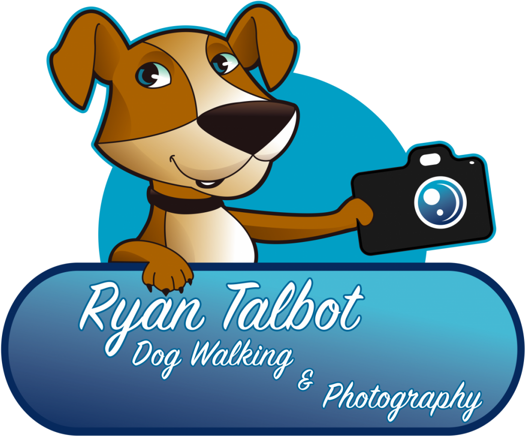 Dog - Photography (1200x1060)