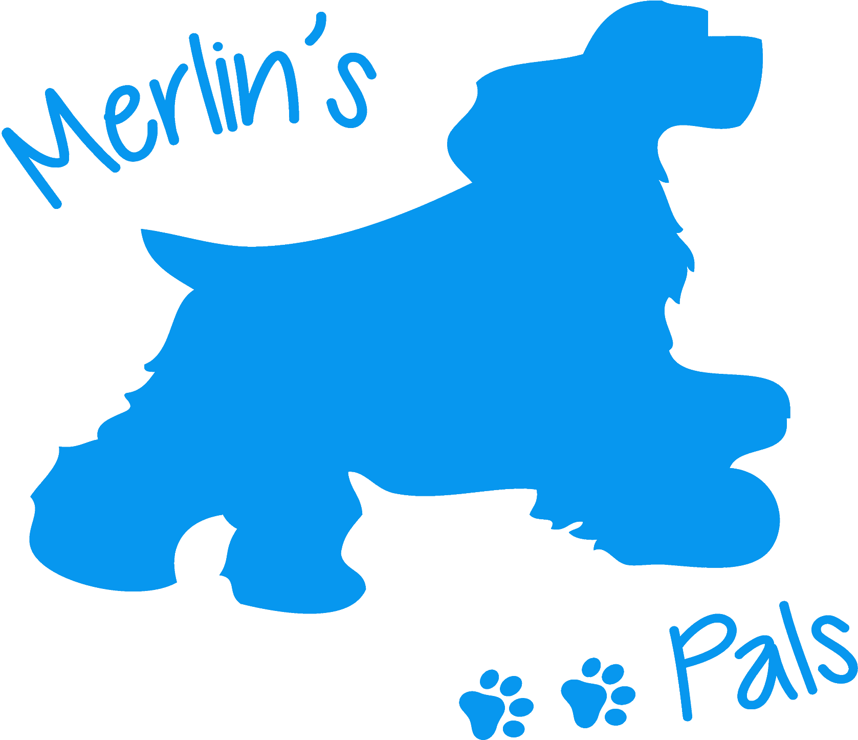 Merlin's Pals/dog Walking And Pet Care Services - Dog Walking (2048x1638)