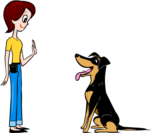 Signs Of Stress In Dogs - Leadership (833x556)