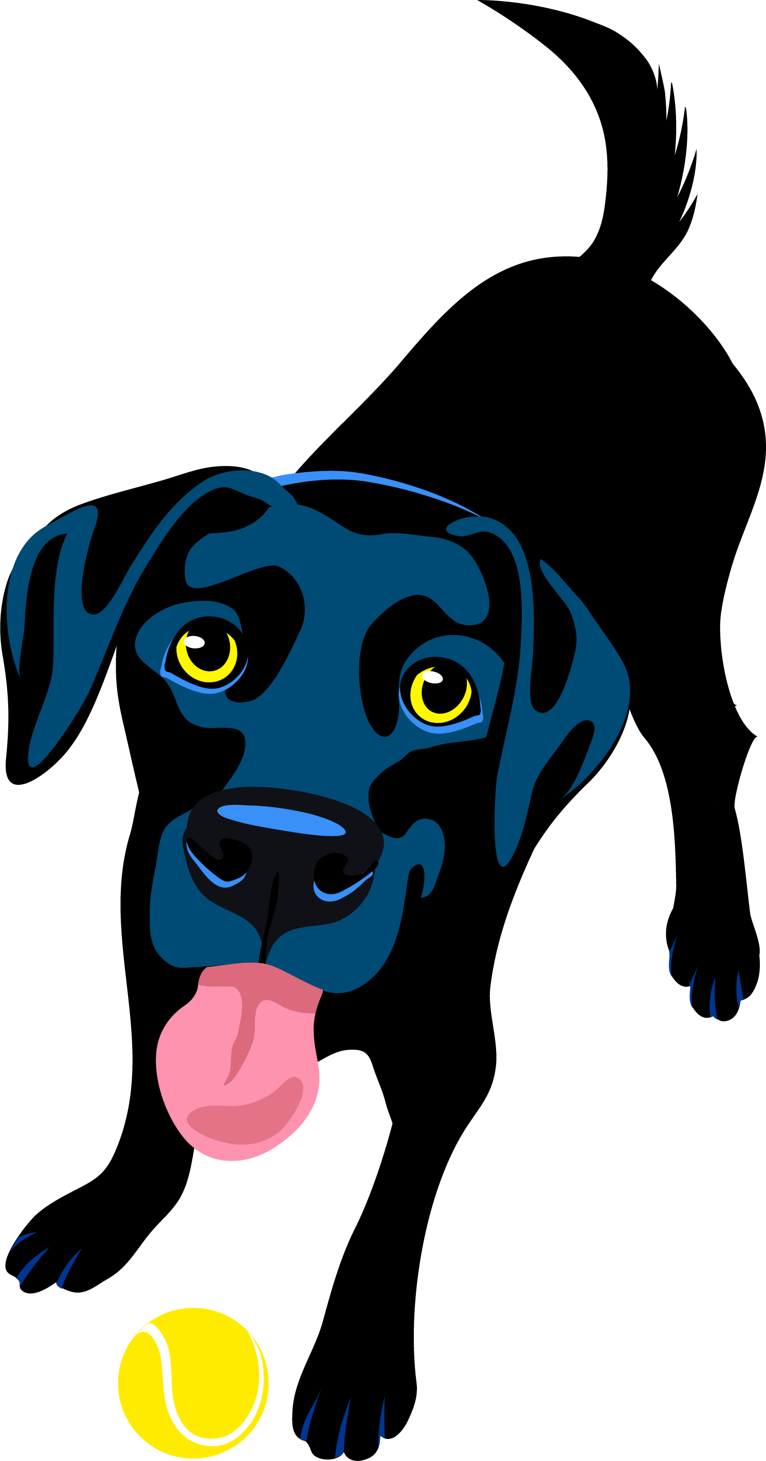 Find & Book Your Carer - Labrador Retriever (1490x2841)