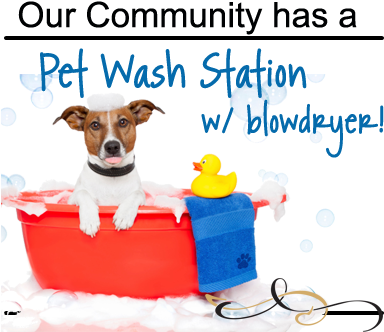 Pet Wash Station & Dog Walk - Dog Bath (388x350)