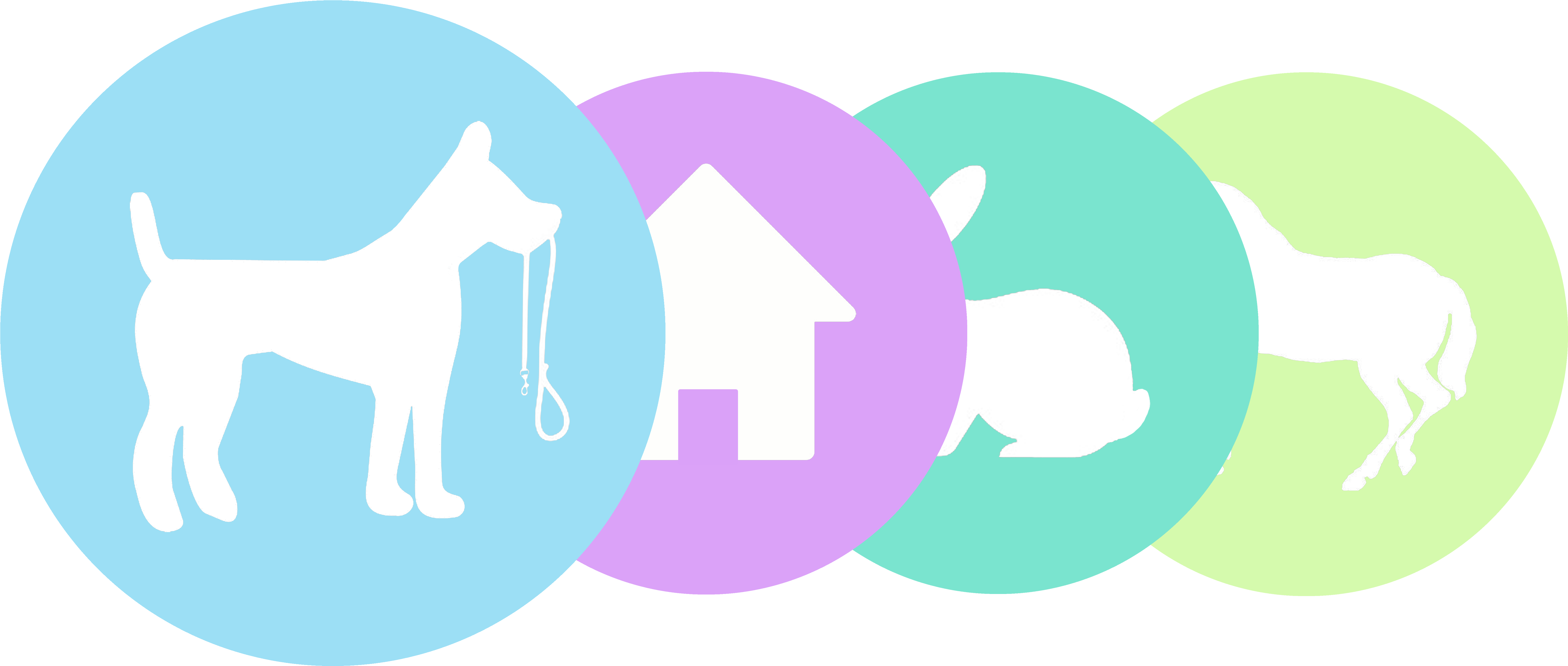 Second Dog Half Price - Mare (8150x2717)