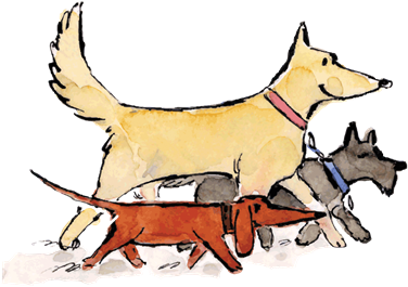 Loose Leash Dog Walking Service Newlands Johnsonville - Dog Walking (391x391)