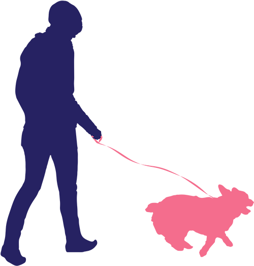 Dog Walking And Pet Feeding - Silhouette Walking Dog Png (900x600)