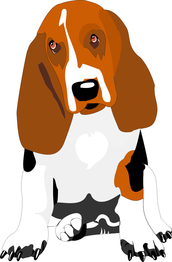 Small - Bassett Hound Clip Art (592x900)