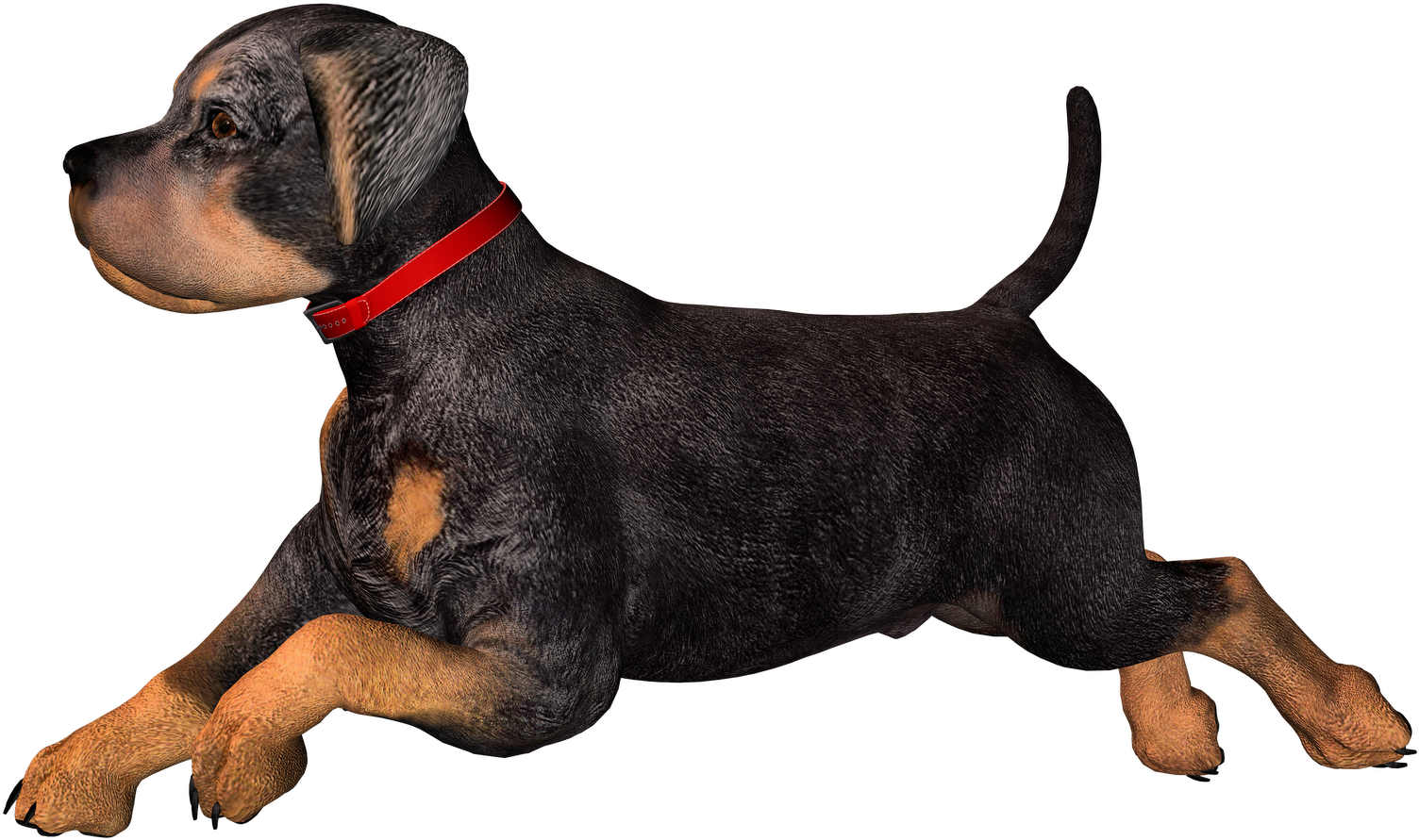 Free High Resolution Graphics And Clip Art - Dog Clip Art (1600x1131)