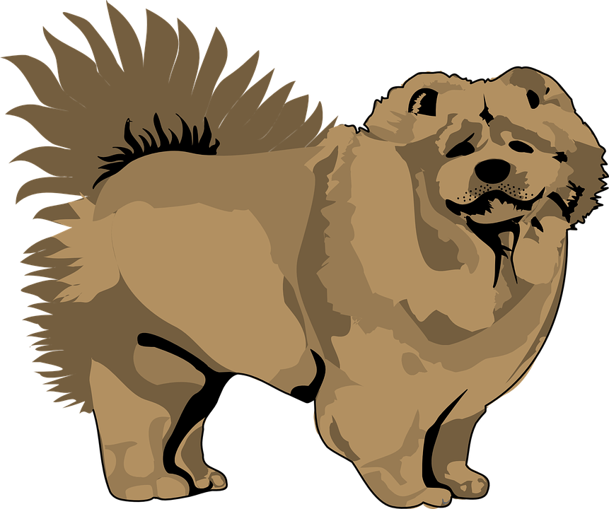 Pet Clipart Animal Fur - Chow Chow Clip Art (861x720)