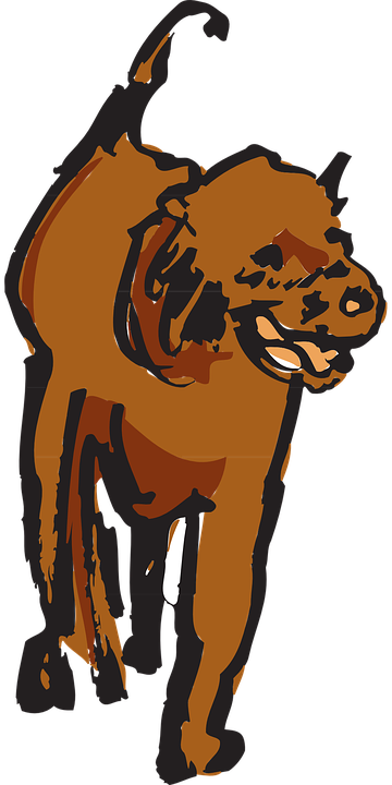 Art, Pet, Walking, Animal, Fur - Dog (360x720)