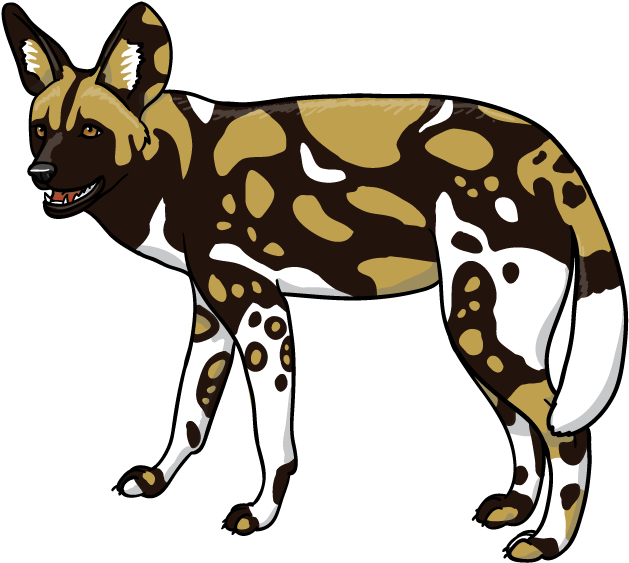Wild Dog Clipart Hyena Clipart - Dhole (792x612)
