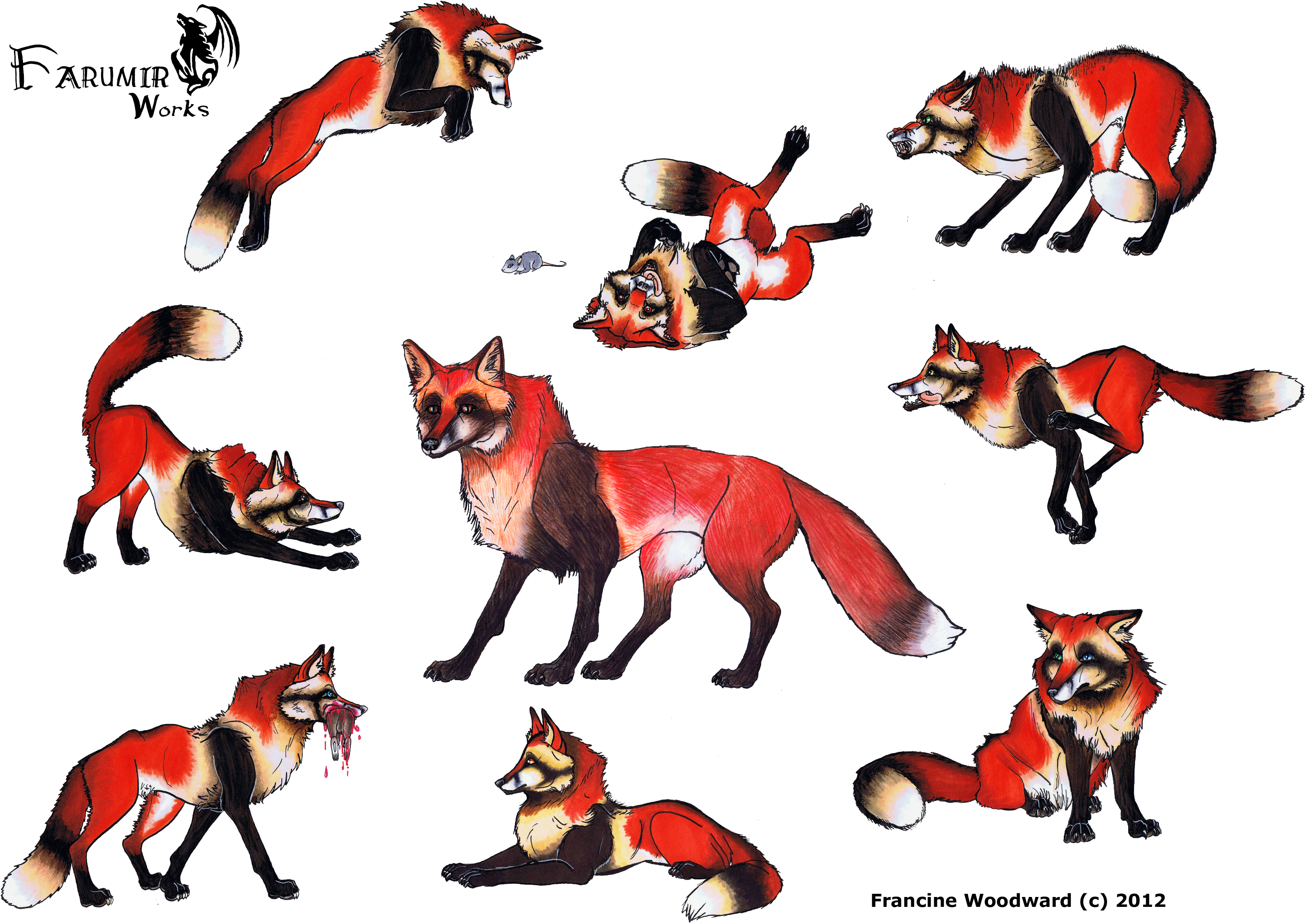 Free Dog-walking Cliparts, Download Free Clip Art, - Red Fox (2970x2110)