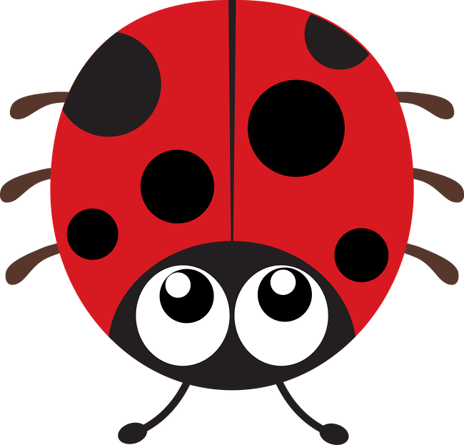 Joaninhas - Minus - Spyware (650x623)