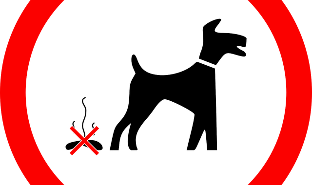 East Yorkshire Man Prosecuted For Second Time For Dog - Dog Fouling Signs (640x380)