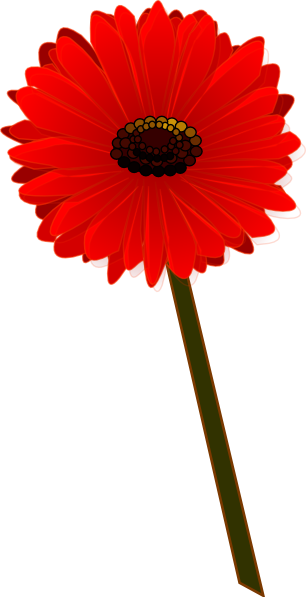 Gerbera Roja Bonita Clip Art At Clker - Gerbera Roja Png (306x597)