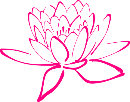 Flower Pink Blossom Pegals Lotus Lotus Lot - Lotus Flower Ornament (round) (432x340)
