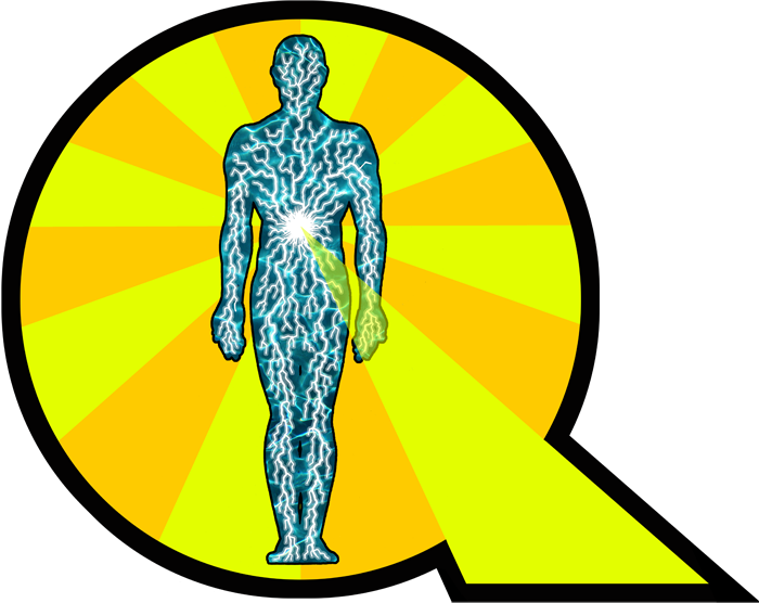 Quantum Life Works Logo Quantum Life Works Logo Detail - Guinness World Records (700x556)