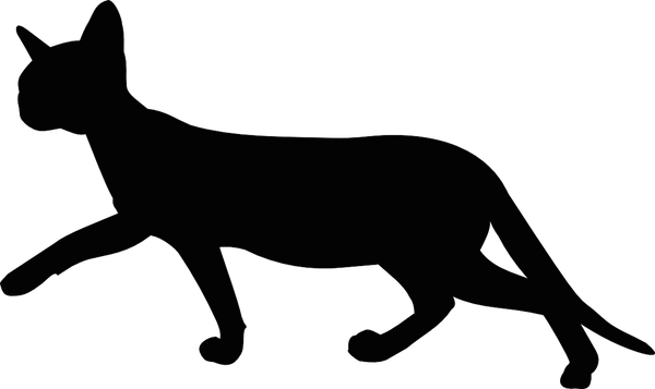 Free Digital Walking Cat Silhouette - Cat Walking Transparent Background (600x357)