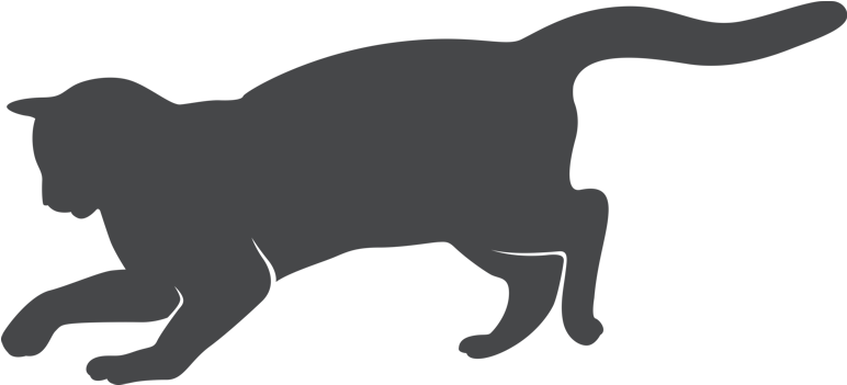 1150489 Medium - 1150489 Medium (800x392)