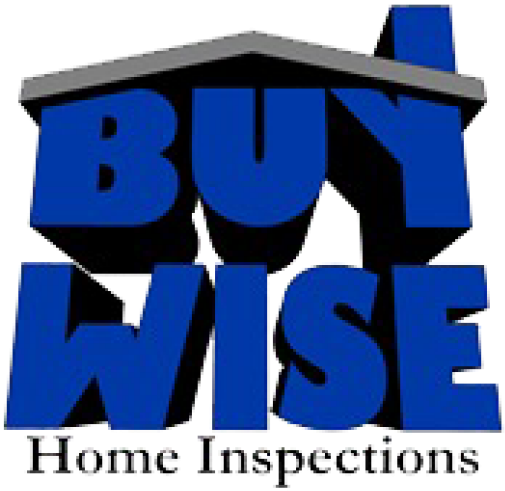 Buy Wise Home Inspections I Put Myself In Your Shoes, - Buy Wise Home Inspections I Put Myself In Your Shoes, (512x512)