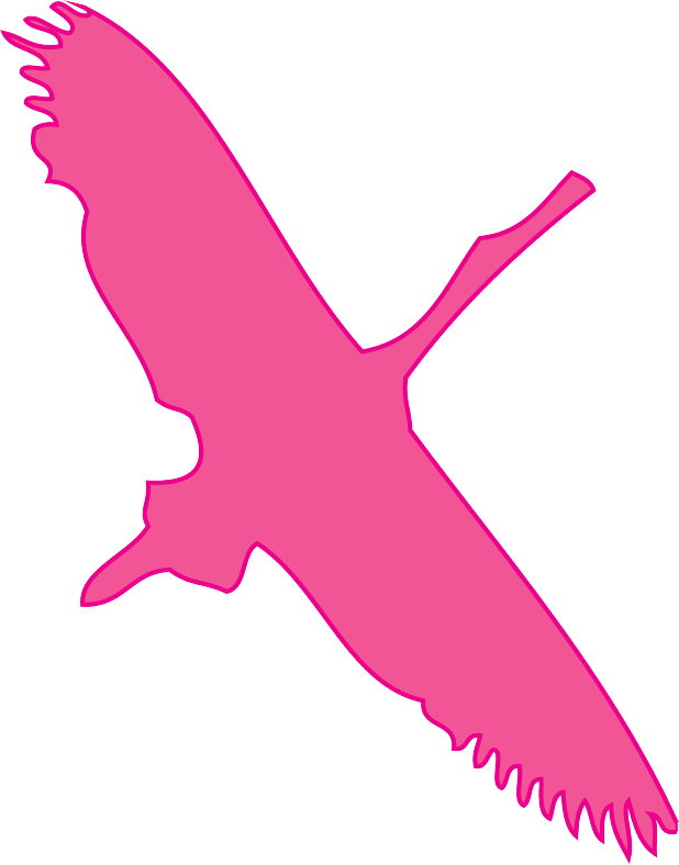 One Hundred Percent Of Your Donation Goes Directly - One Hundred Percent Of Your Donation Goes Directly (618x788)