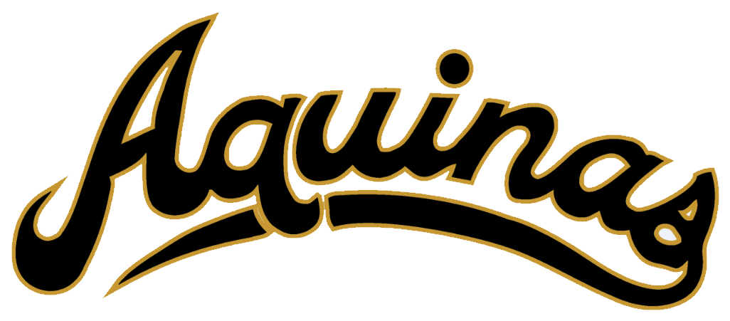 Saint Thomas Aquinas Knights - Saint Thomas Aquinas Knights (1058x482)
