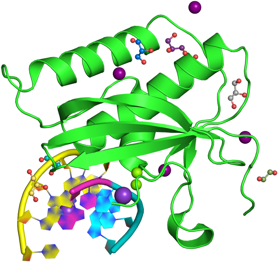Protein Data Bank @pdbeurope - Protein Data Bank @pdbeurope (1200x1200)
