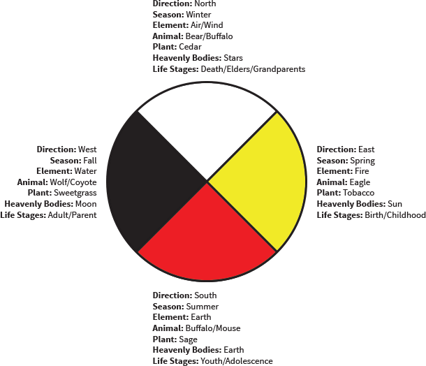 Summary Teachings Of The Medicine Wheel Png Medicine - Summary Teachings Of The Medicine Wheel Png Medicine (610x524)