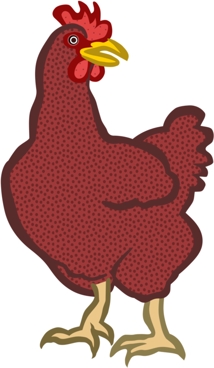 Chicken Kifaranga Comics Rooster Comic Book - Chicken Kifaranga Comics Rooster Comic Book (703x750)