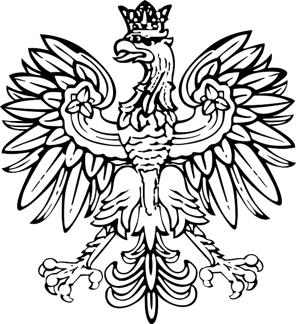 Polski Orzel Moja Polska Pinterest Tattoos And - Polski Orzel Moja Polska Pinterest Tattoos And (584x640)