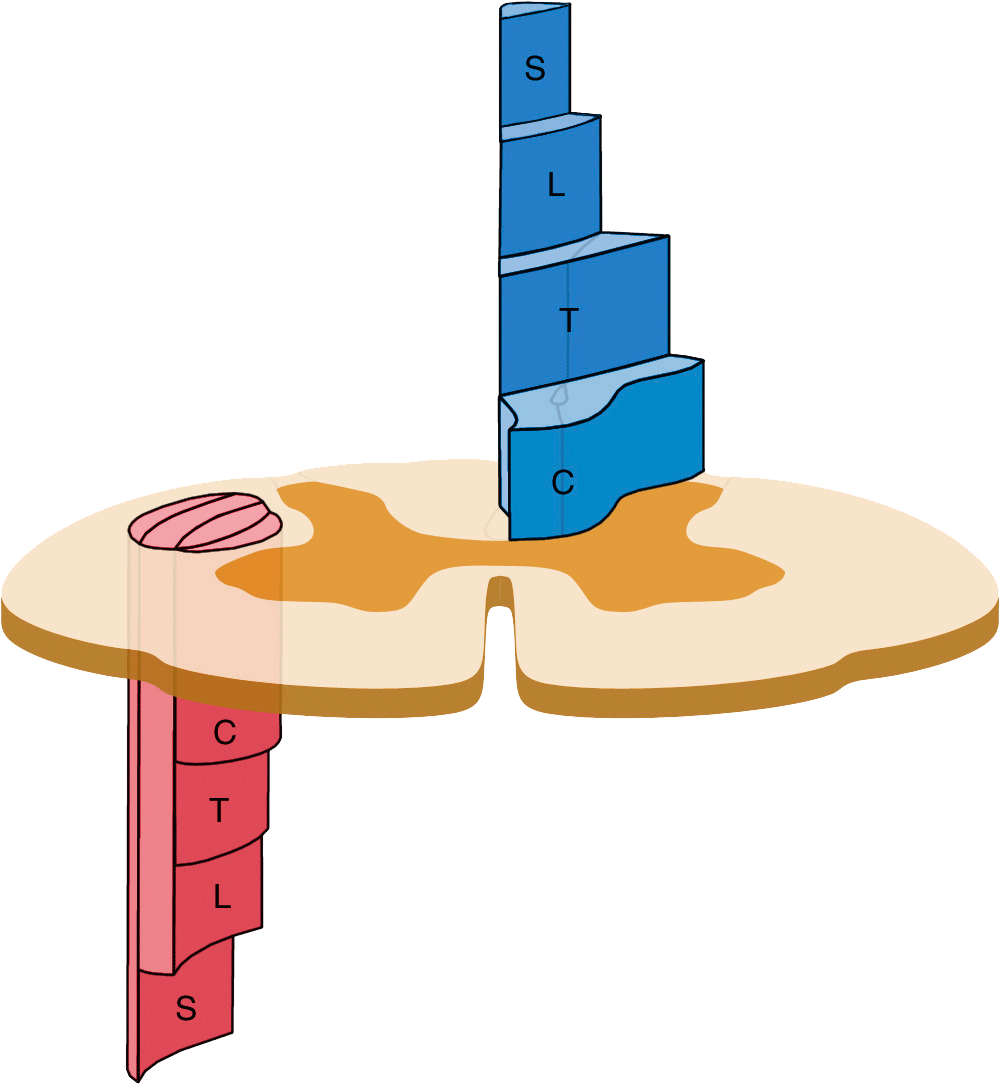 “our Small Practice Located In The Heart Of Fairfax - “our Small Practice Located In The Heart Of Fairfax (1200x1200)