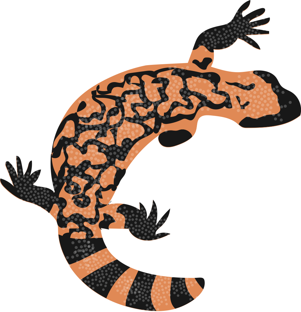 Chameleon Clip Art - Chameleon Clip Art (1029x1068)