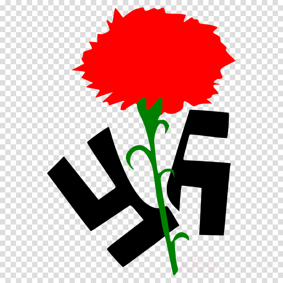 Red Carnation Clip Art Clipart Computer Icons Carnation - Red Carnation Clip Art Clipart Computer Icons Carnation (900x900)