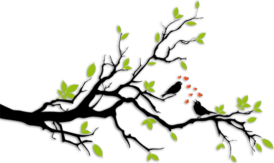 If You Dream Of A Wedding That Is Truly Your Own Personal, - If You Dream Of A Wedding That Is Truly Your Own Personal, (553x329)