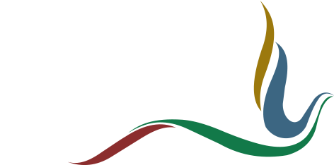 Misty Hills Country Hotel - Misty Hills Country Hotel (481x271)