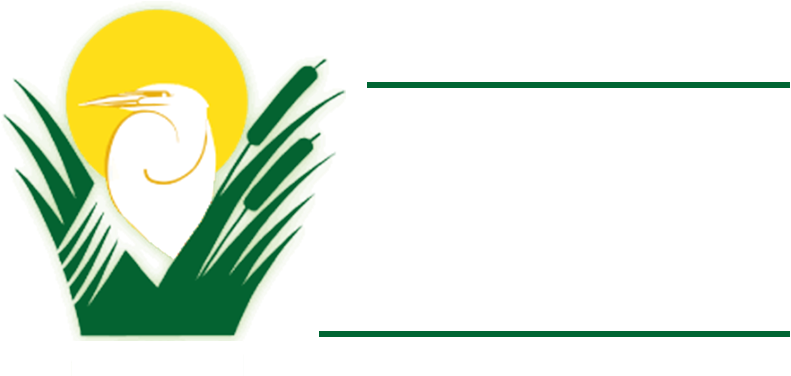The Island The Island - The Island The Island (800x600)