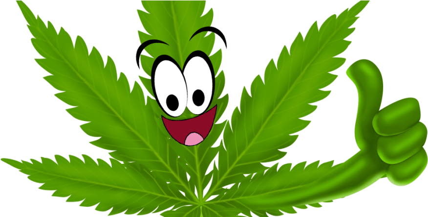 How Cannabis Could Turn The Opioid Epidemic Around - How Cannabis Could Turn The Opioid Epidemic Around (900x444)