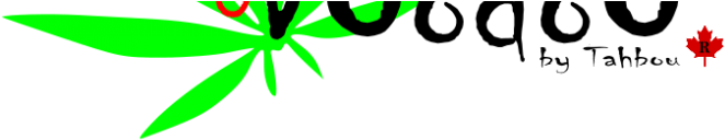 Cannabis Talk - Cannabis Talk (730x350)