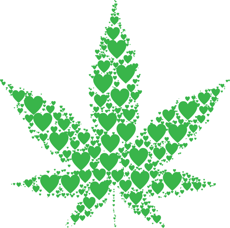 All Photo Png Clipart - All Photo Png Clipart (755x750)