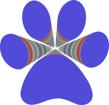 Cat Dog Istock - Cat Dog Istock (353x340)