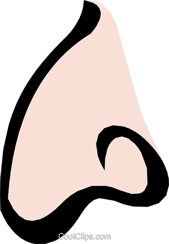 Nose Smell Clipart - Nose Smell Clipart (333x480)