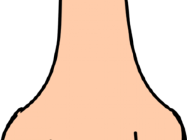 Nose Clipart Medium - Nose Clipart Medium (640x480)