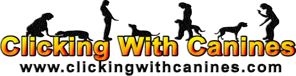 Our Dirt Street Stock Series Will Take Place On A Variety - Our Dirt Street Stock Series Will Take Place On A Variety (1014x260)