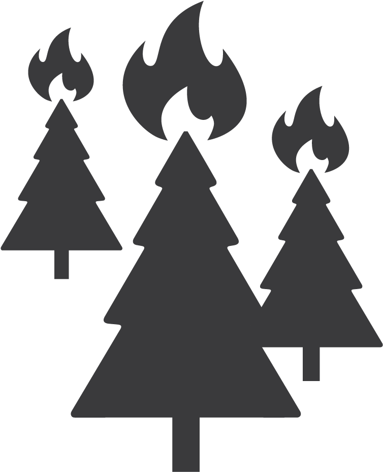 Wildfires - Wildfires (1008x1008)